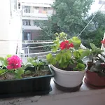 Guest House Marija
